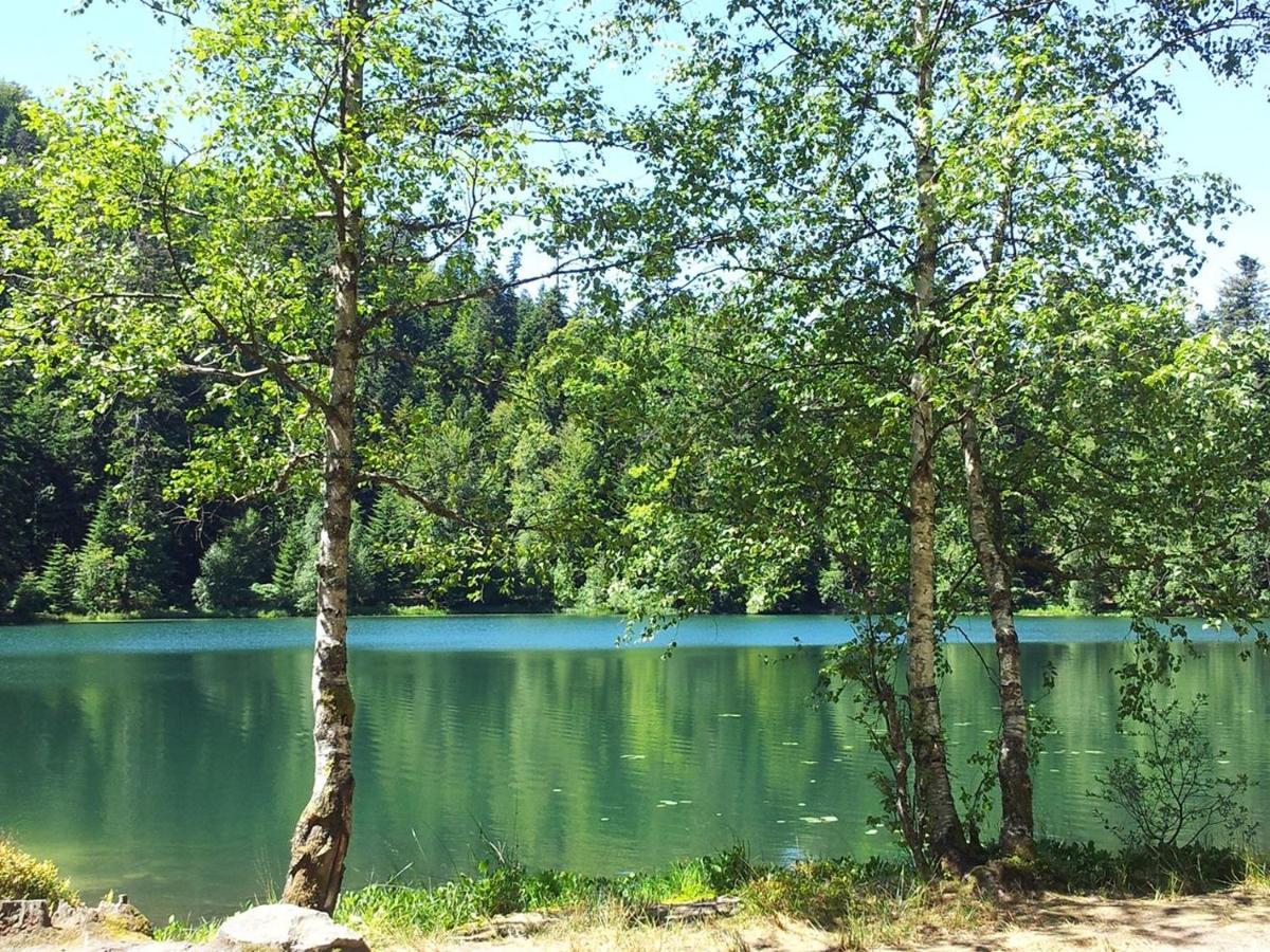 Вилла Paillehouse Vosges Denipaire Экстерьер фото